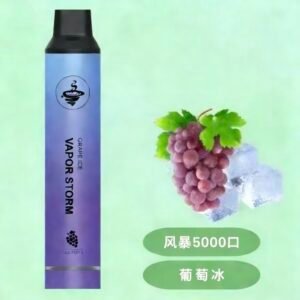 VAPOR STORM 拋棄式電子煙口味推薦【葡萄冰】風暴5000口一次性電子菸