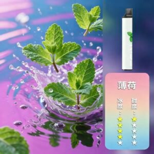 KISS一次性電子菸口味推薦【薄荷】Kis5 6500口抛弃式電子煙 | 台灣現貨