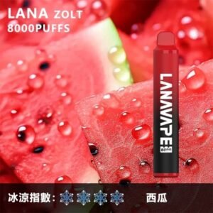 【西瓜】LANA 8000口抛棄式電子煙 | 一次性電子菸 | 可充電