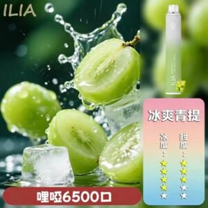 【冰爽青提】ILIA BAR 4 拋棄式電子煙|6500口續航升級|多口味任選