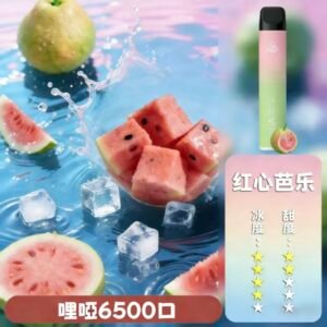 ILIA哩啞6500口拋棄式電子煙口味推薦【紅心芭樂】2026新品推薦