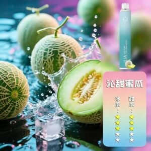 ILIA 哩啞6500拋棄式電子煙口味推薦