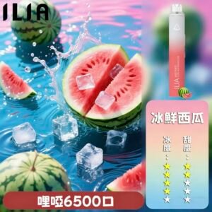 【冰鮮西瓜】ILIA拋棄式6500口 | 哩啞一次性電子菸 | ILIA電子煙推薦