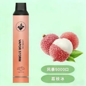 風暴拋棄式電子煙口味推薦