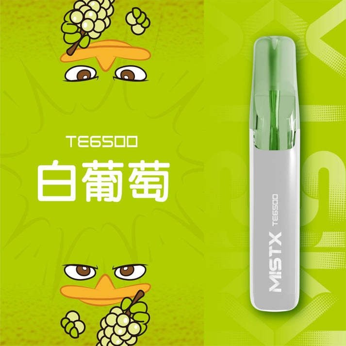 MISTX TE 鴨嘴獸6500口拋棄式電子煙口味推薦