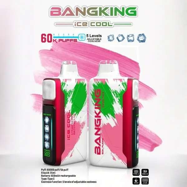 BANG KING 王嘉爾同款 60000口拋棄式電子煙口味推薦