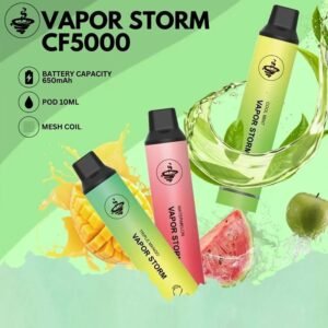 VAPOR STORM風暴5000口一次性拋棄式電子煙桿 - 2026最新優質電子煙